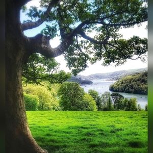 Bundle for @elizaloman Only